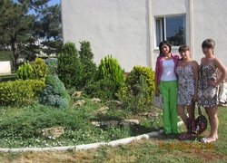 Великодолинське лісове господарство